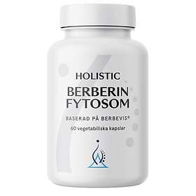 Holistic Berberin Fytosom 60 Kapslar