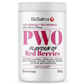 Biosalma PWO 500g