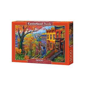 Castorland Autumn City Hill 3000 Bitar