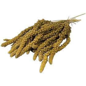 JR FARM Millet Sprays 250g
