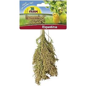 JR FARM Hirse 100g