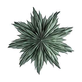 Watt & Veke Helena Star 44cm