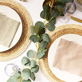 Temashop T99719 Eucalyptus Girlang