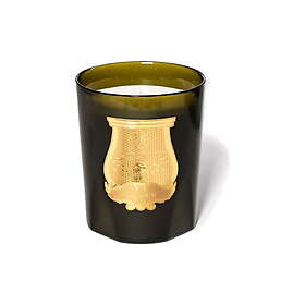 Trudon Ernesto Doftljus