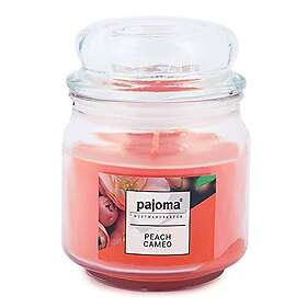 Pajoma Peach Cameo Sweet Edition Bougie Parfumée 248g 55h