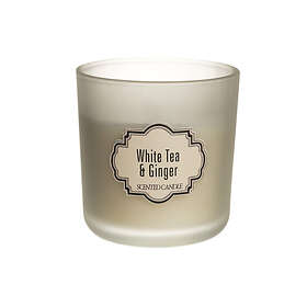 Polar Doftljus White Tea & Ginger