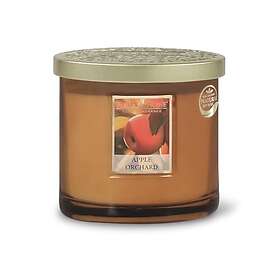 Heart & Home Ellipse Orchard Apple Bougie Parfumée 2 mèches 40h