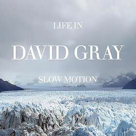David Gray Life in Slow Motion LP/Vinyl
