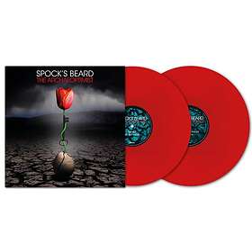 Spock's Beard The Archaeoptimist LP/Vinyl