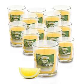 Spetebo Citronella Doftljus 6cm 12st 20h