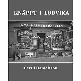 Knäppt I Ludvika