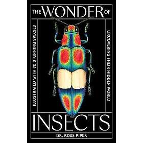 The Wonder Of Insects- Uncovering Their Hidden World