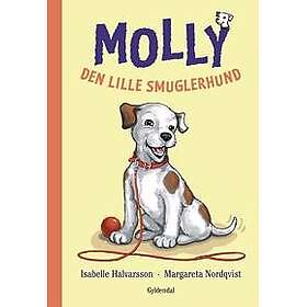 Molly 1 Den lille smuglerhund