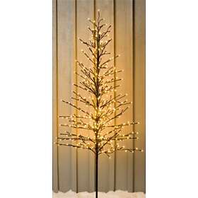 Veli Line Denmark VL 41167 Lystre