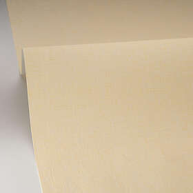 Caselio Uni Mat Jaune Pastel LNP103222000