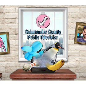 Salamander County Public Television (PC)
