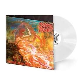 Morbid Angel Blessed Are The Sick LP/Vinyl