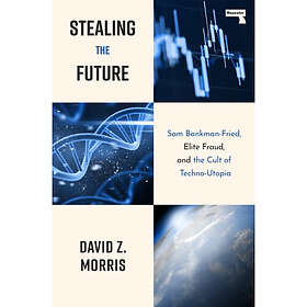 Stealing The Future (häftad eng)