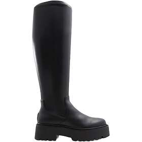 Aldo Carelden (Dame)