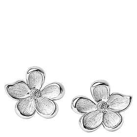 Muli Collection 20180-1-102-OS