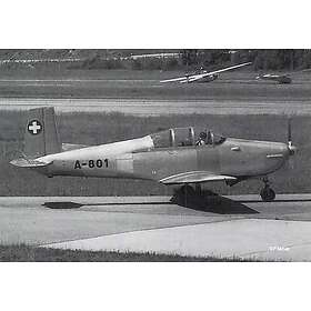 ACE 1/881300 Cast Model, Multicolor