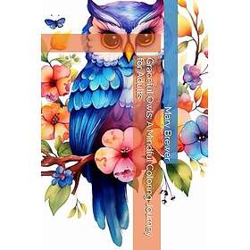 Graceful Owls: En medveten målarresa för vuxna