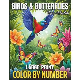 Fåglar och fjärilar med stora tryck och färg efter nummer för vuxna