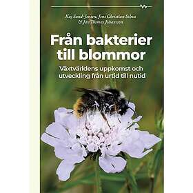 Från bakterier till blommor