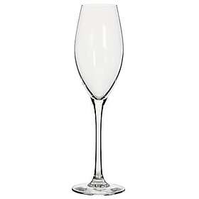 SPiiS Vernio Champagneglass 24cl 4-pakning