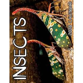 Baldega Books Insekter 2026 Kalender