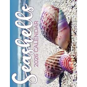 Baldega Books Seashells Kalender 2026