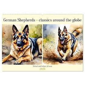 Calvendo German Shepherds Wall Calendar 2026 A2
