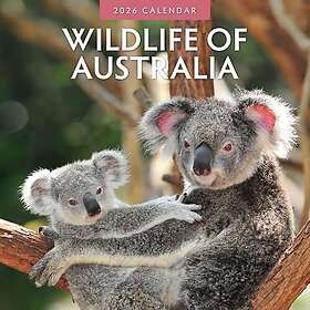 Red Robin Design Väggkalender Australiens djurliv 2026