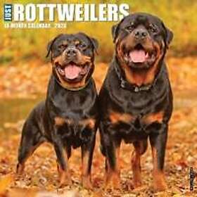 Wlcp Rottweilers Seinäkalenteri 2026