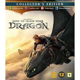 How to Train Your Dragon (DVD)