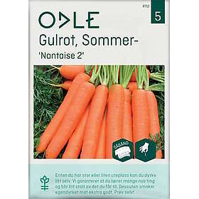 Odle Gulrotfrø Nantaise 2 Sommer-