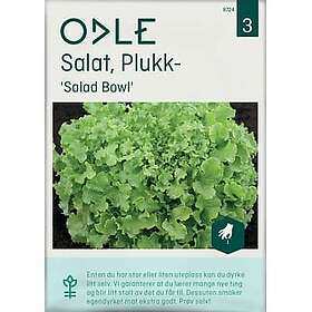 Odle Frø 'Salad Bowl' Plukksalat