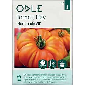 Odle Tomatfrø Marmande VR