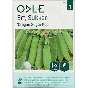 Odle Frø Oregon Sugar Pod