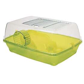 Croci bur hamster R2075084