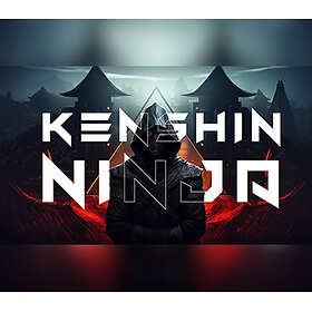Kenshin Ninja (PC)