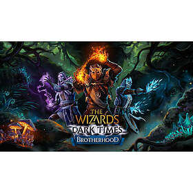 The Wizards - Dark Times: Brotherhood (PC)