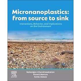 Micronanoplastics: From Source to Sink