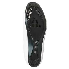 Eltin Starcrazy (Dam)