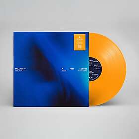 Mr. Käfer A Past Sense LP/Vinyl