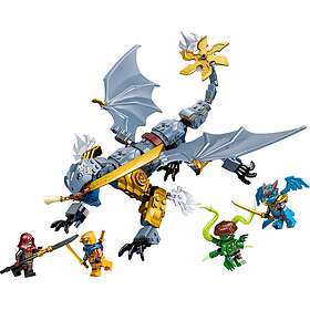 LEGO Ninjago 71855 Ninja Dragon Riyu's Battle
