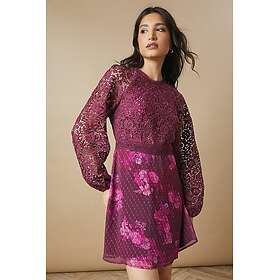 Oasis Occasion Floral Lace Bodice Mini Dress