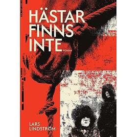 Hästar finns inte : Roman