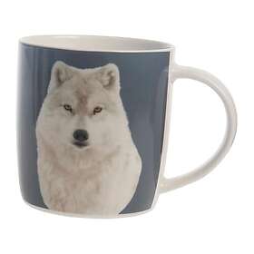 Delys-By-Verceral ANIMO COLOR Range Mugg 33cl