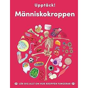 Upptäck människokroppen : lär dig allt om hur kroppen fungerar
